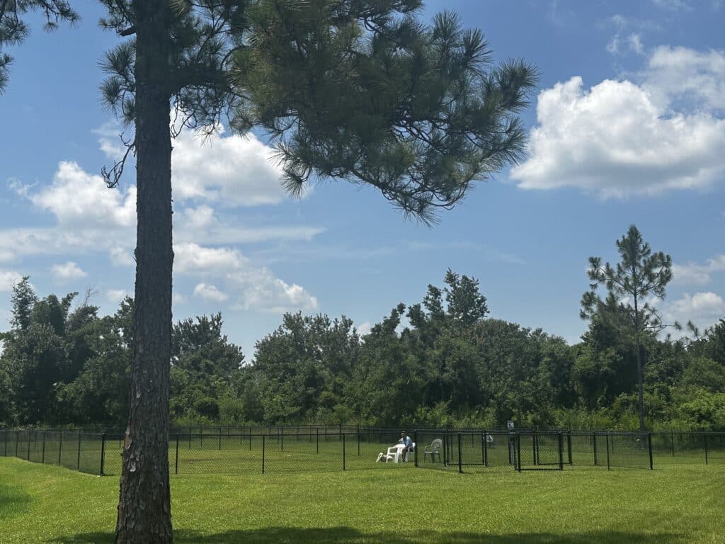 A dog park enclosed by a fence and a tree, located within Holiday Village RV Park, offering a recreational area for dogs.