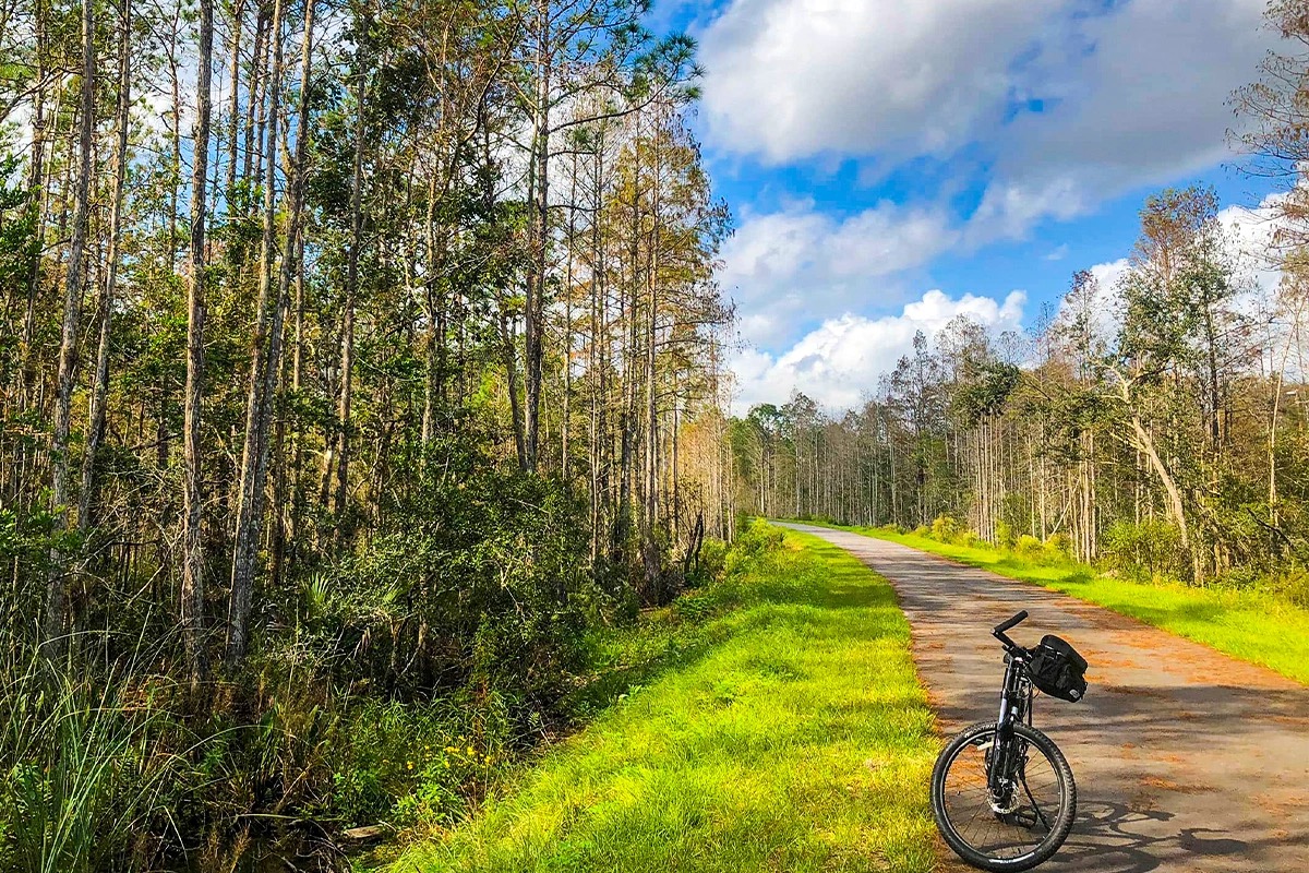 A bicycle parked beside a forest road along the East Coast Regional Bike Trail, surrounded by lush greenery.